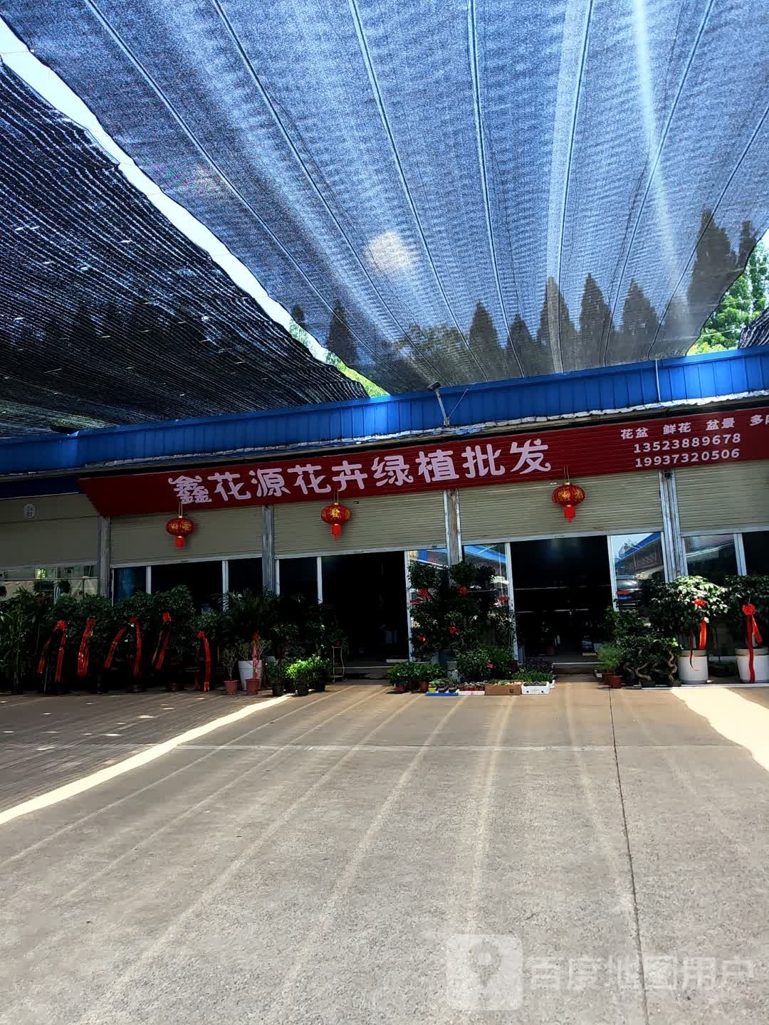 鑫花源花卉绿植批发