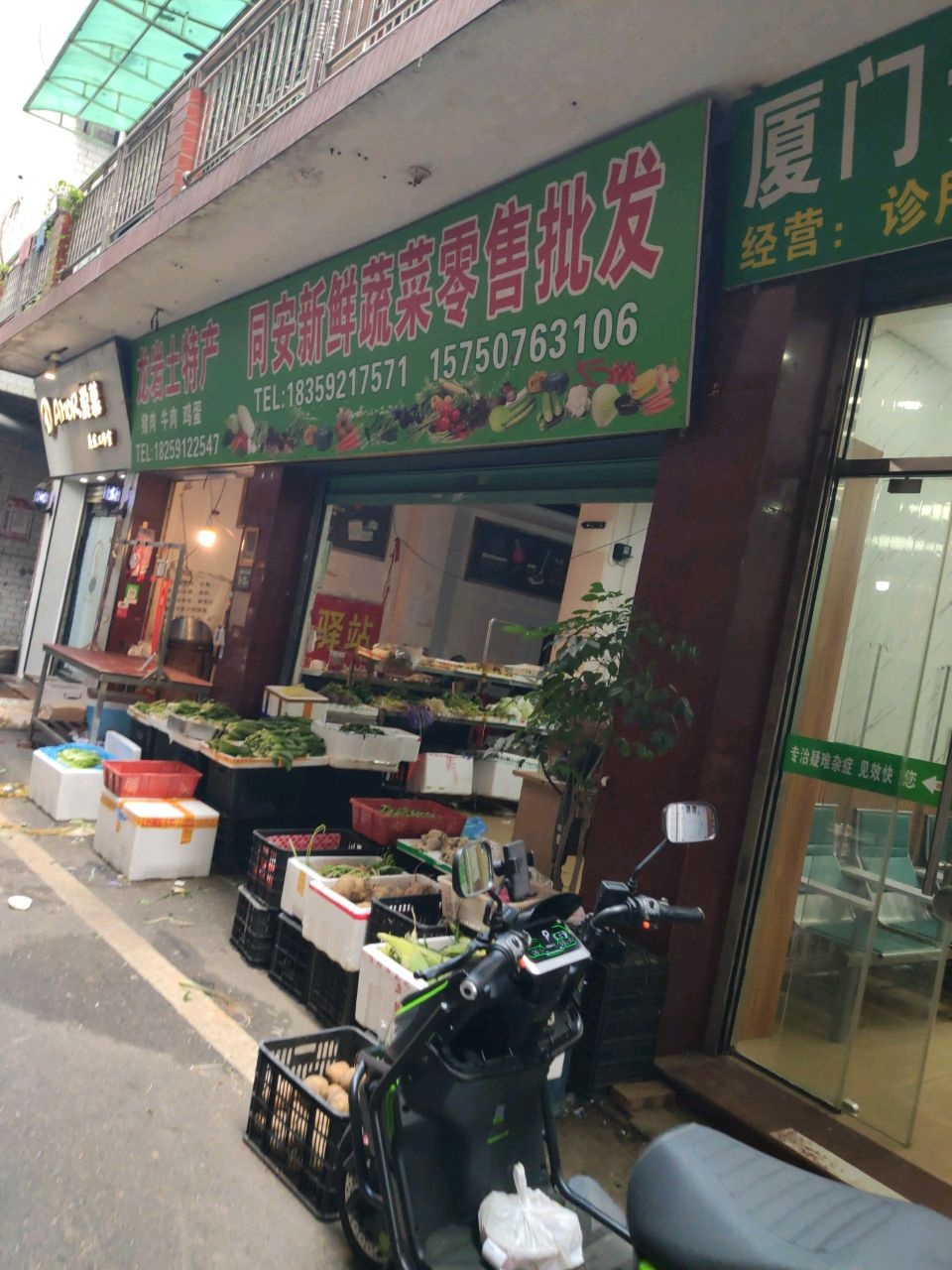 同安新鲜蔬菜零售批发