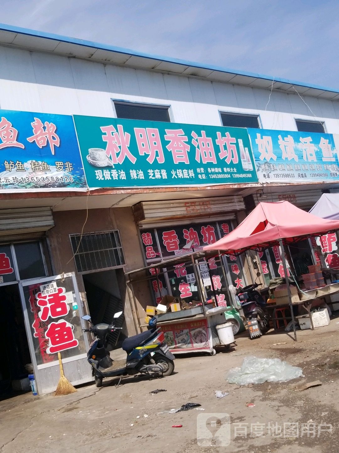 奴斌活鱼