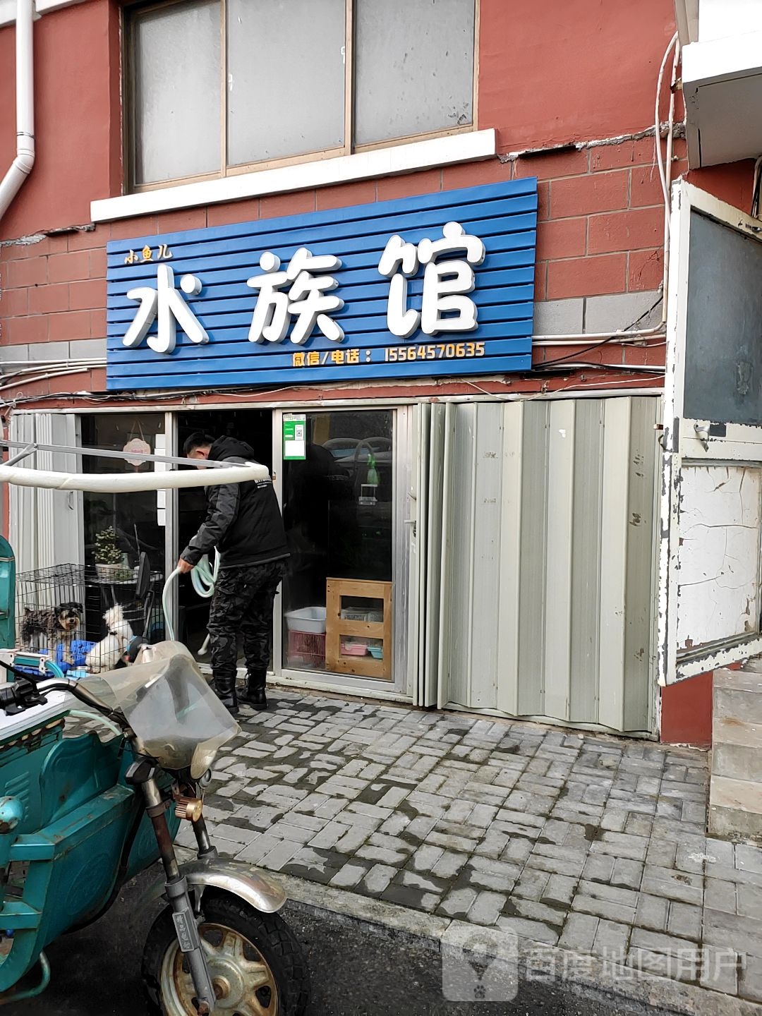 小鱼儿水族馆(滨海明珠店)