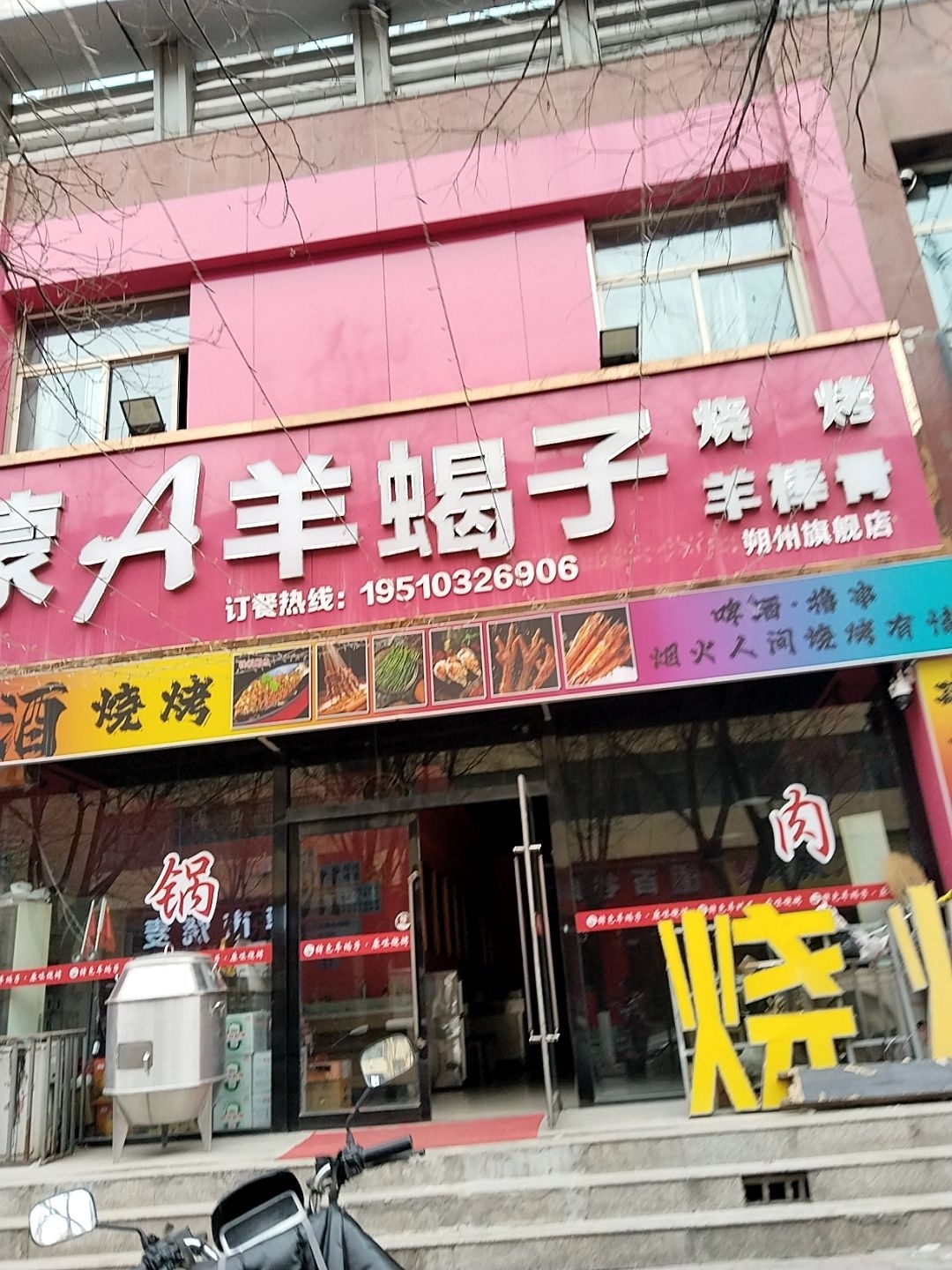 蒙A羊蝎子