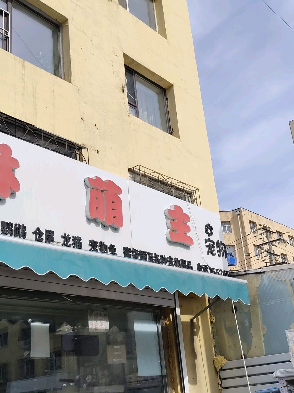 鹉林萌主宠物店(辽东电业小区店)