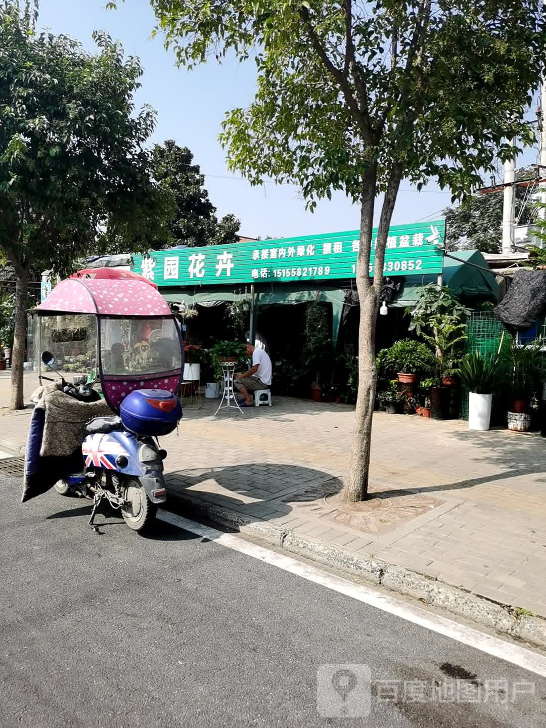 紫原花卉