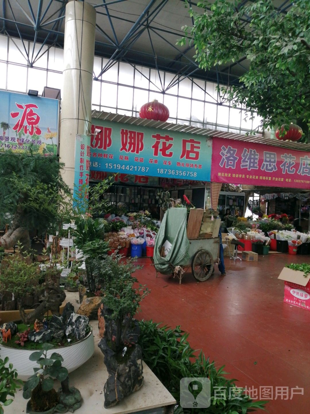 洛维思鲜花