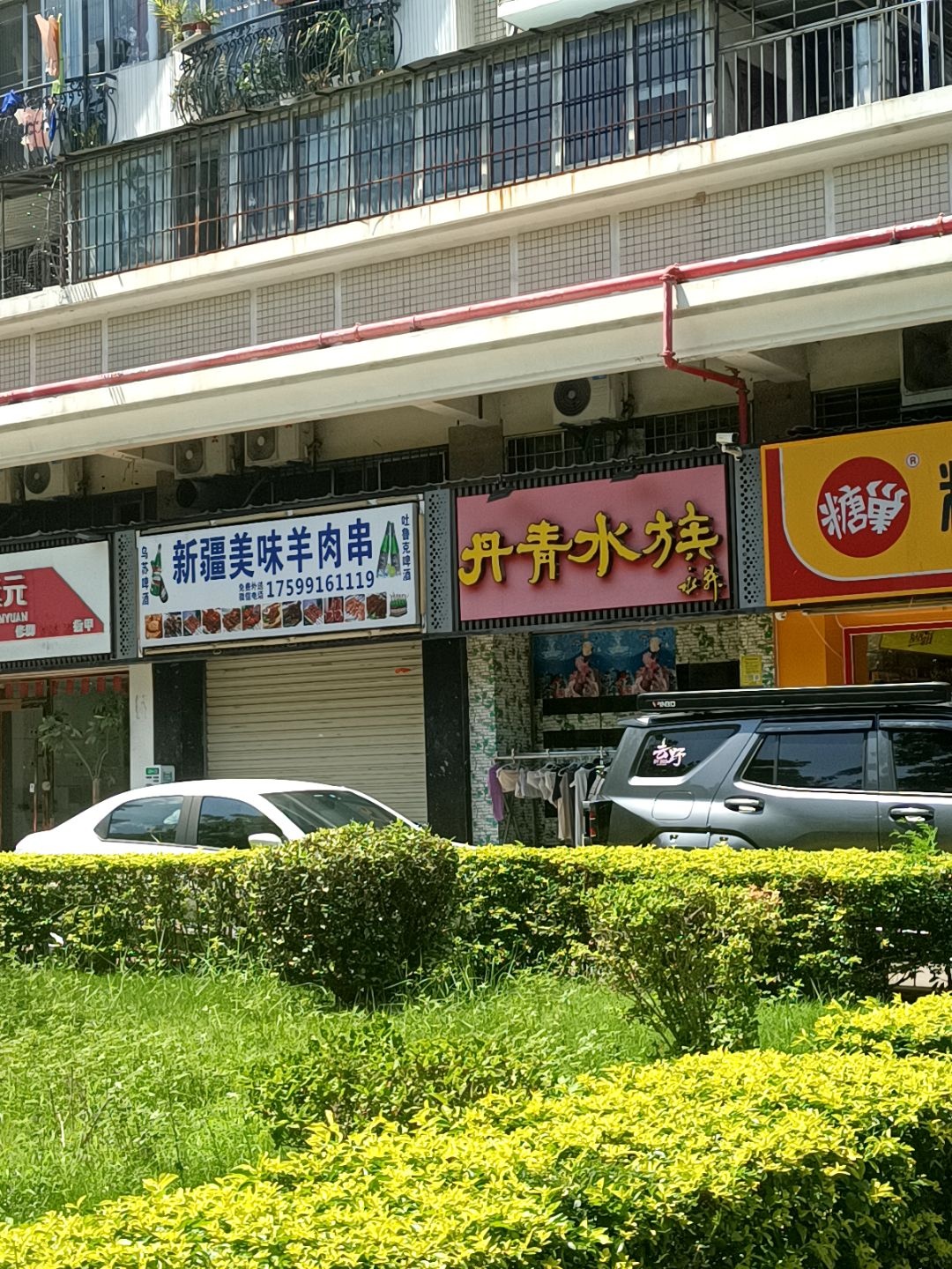 丹青水族馆(莲前东路店)