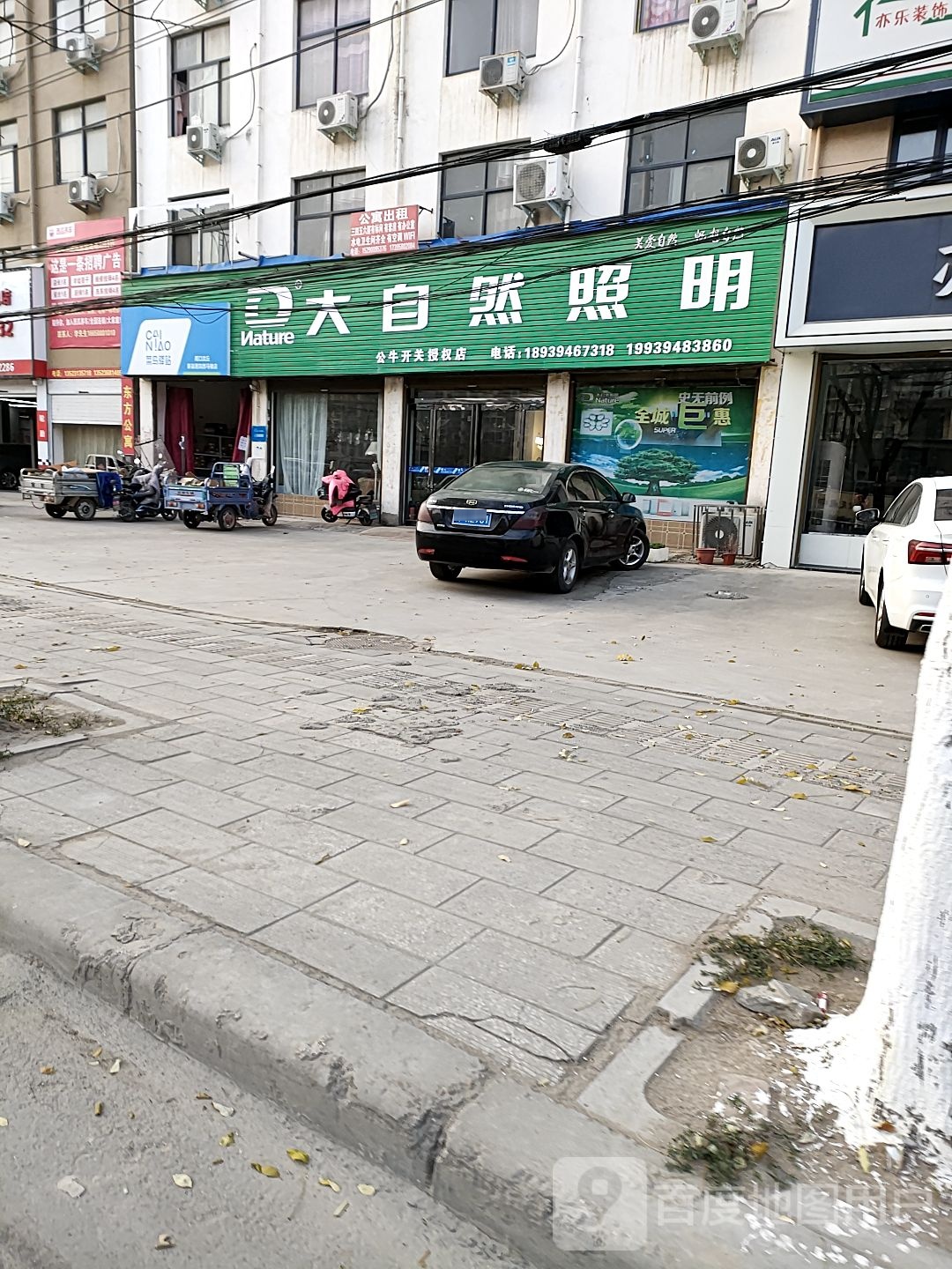 沈丘县大自然照明(长安东路店)