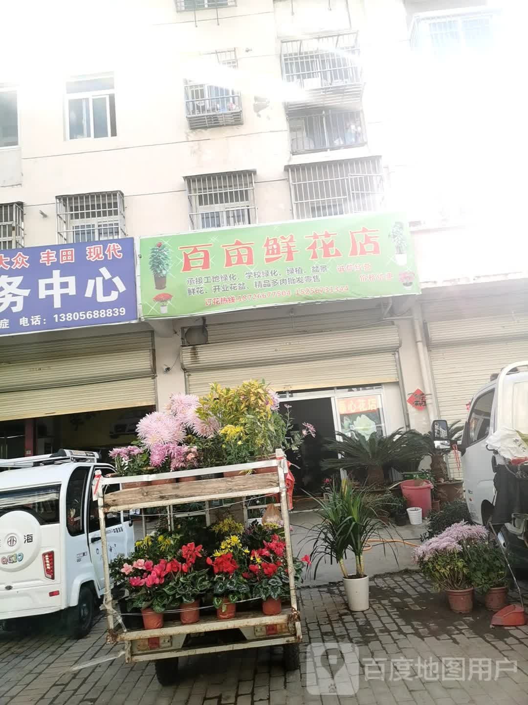 百亩鲜花店