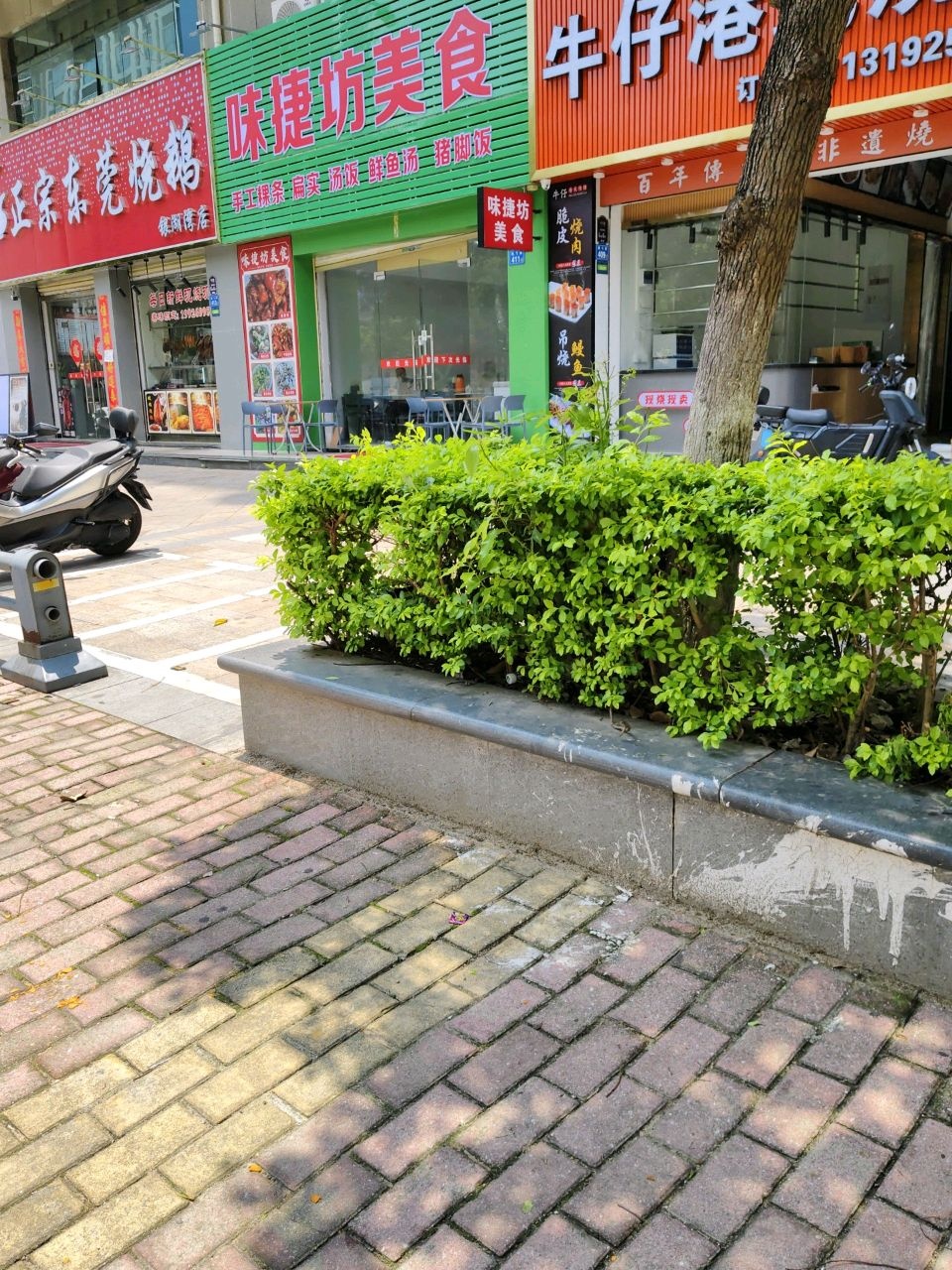 正宗东莞烧鹅(银湖湾店)