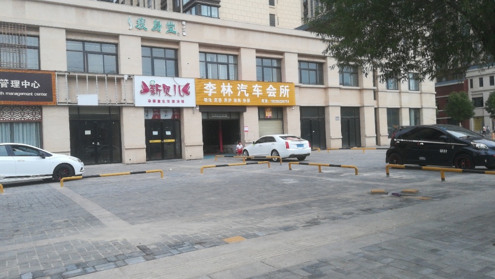 漯河市李琳汽车服务有限公司