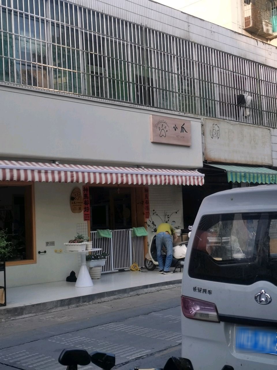 小爪