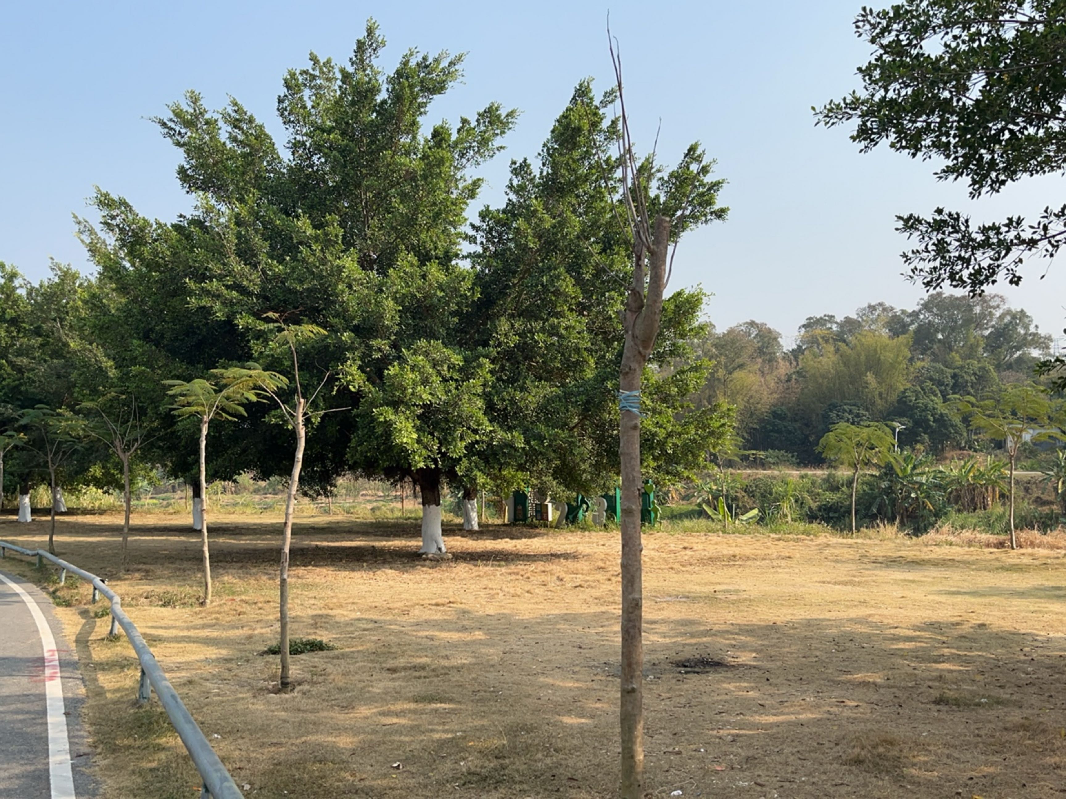 信宜六运毛家村口露营地