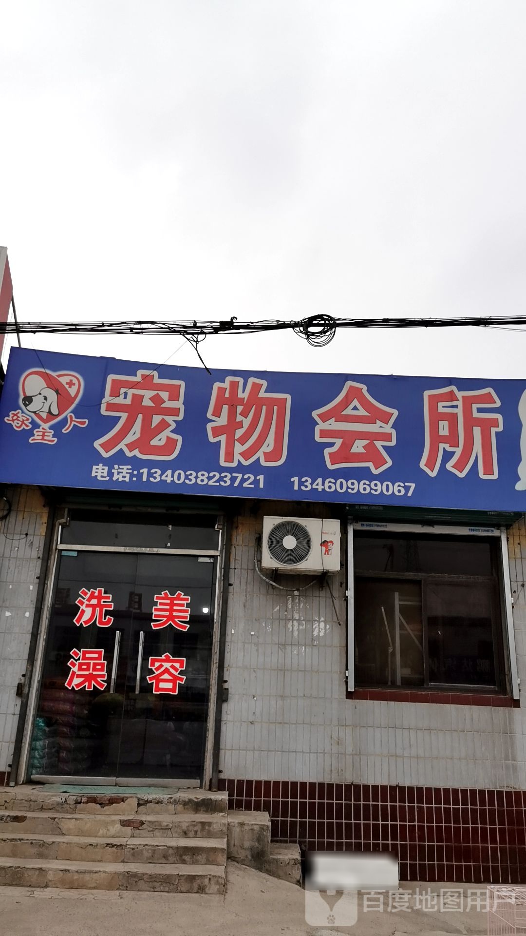 宠物会所