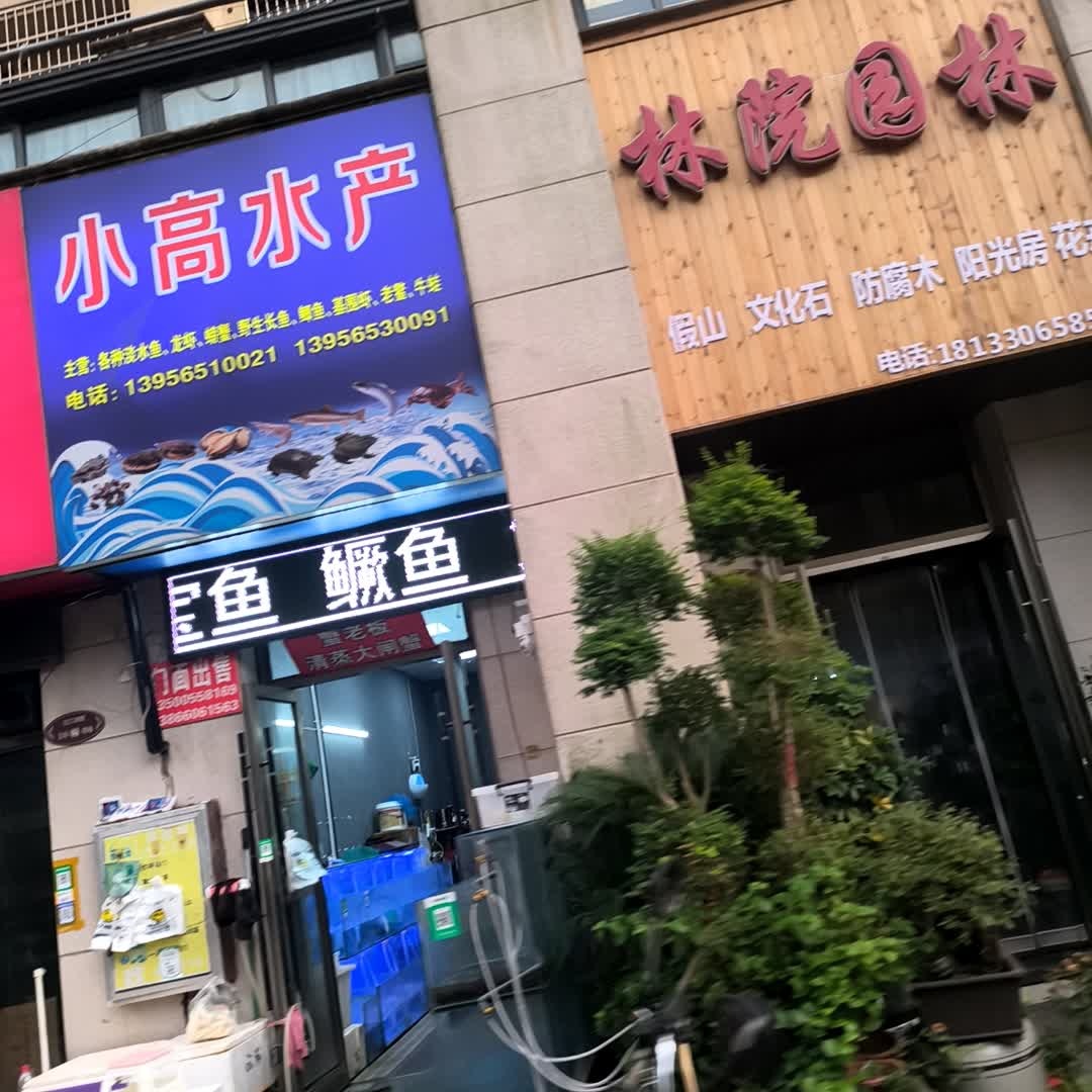 小高水产(安庆碧桂园迎江御墅店)