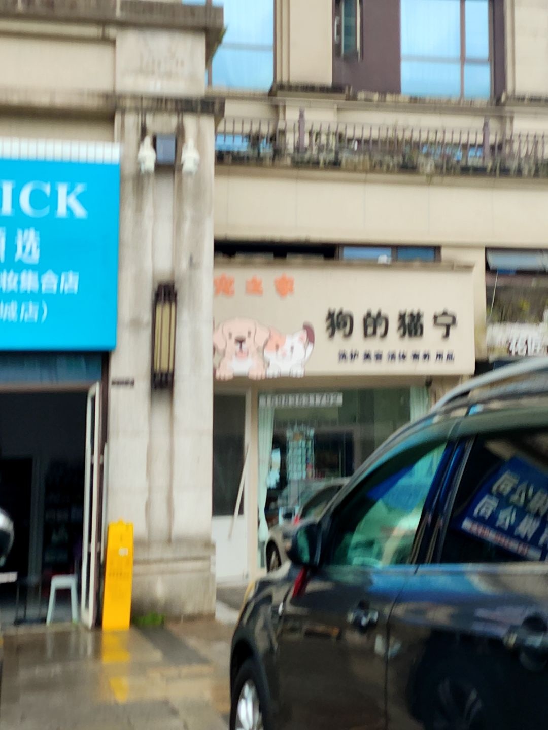 狗的猫宁