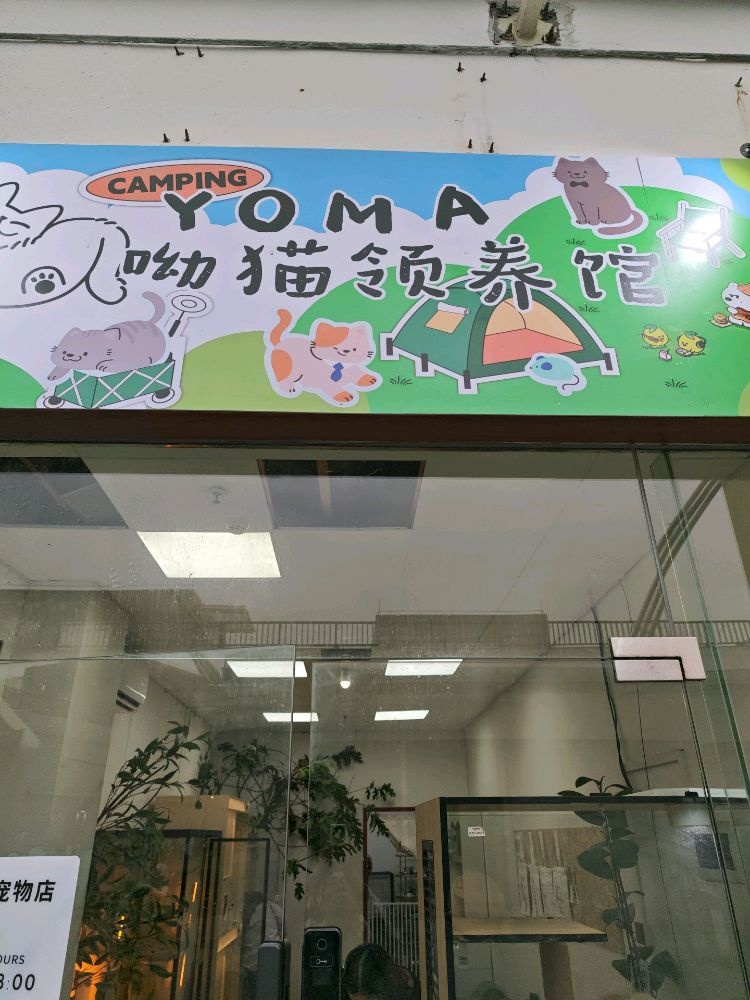 中山小榄呦猫撸猫爬宠宠物店