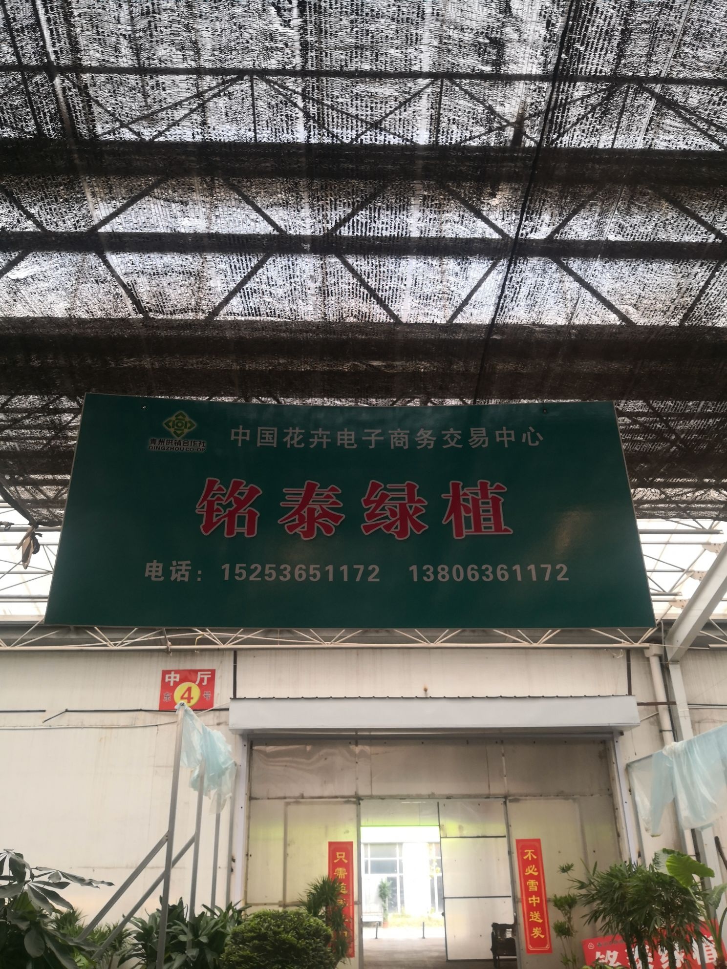 中国青州市北方花卉市场铭泰绿植