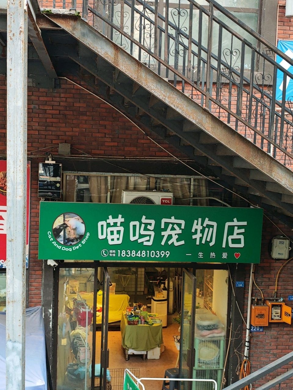 喵呜宠物店