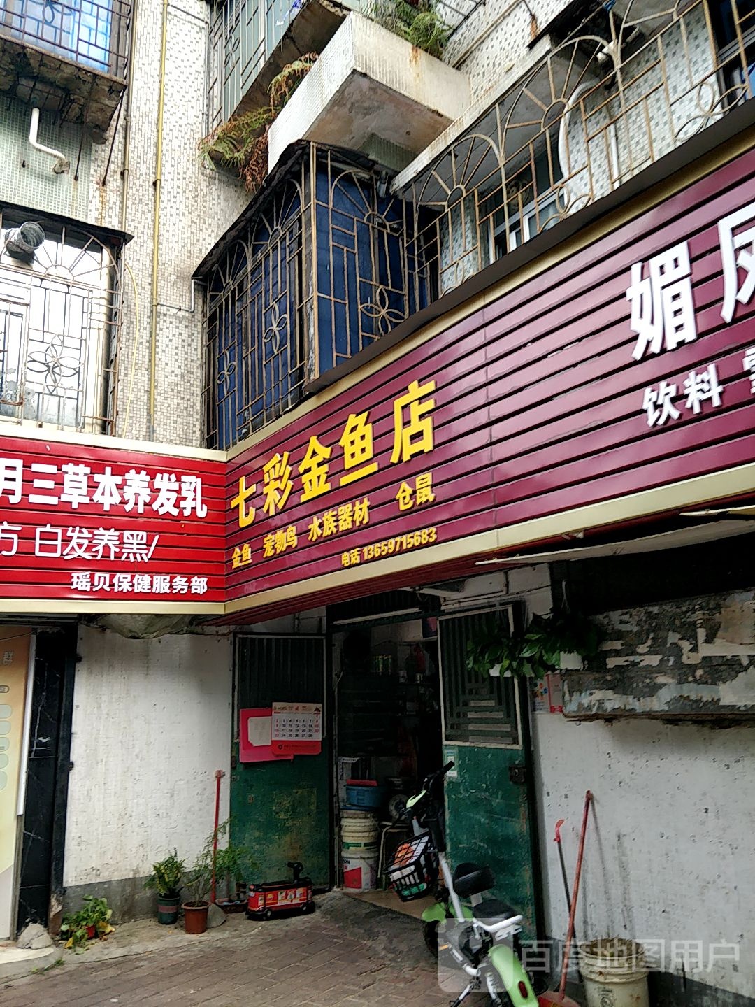 七彩金鱼店(海宁小区店)