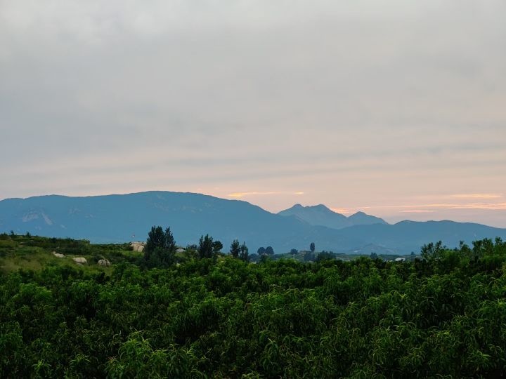 富川村