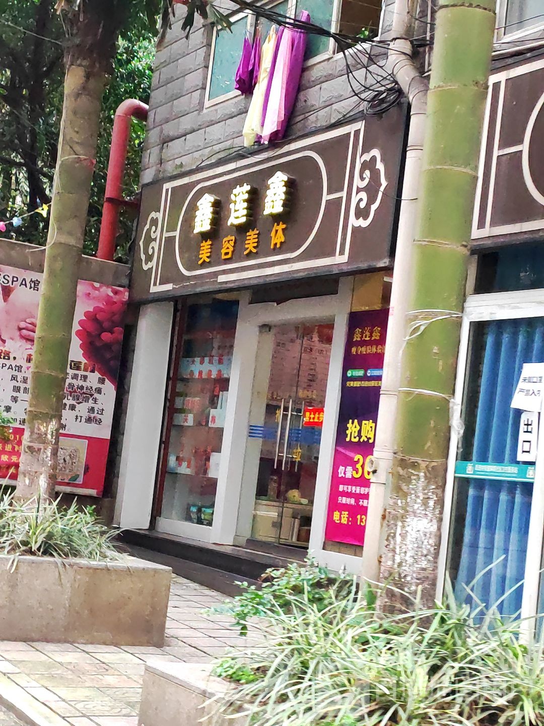 鑫莲鑫美荣