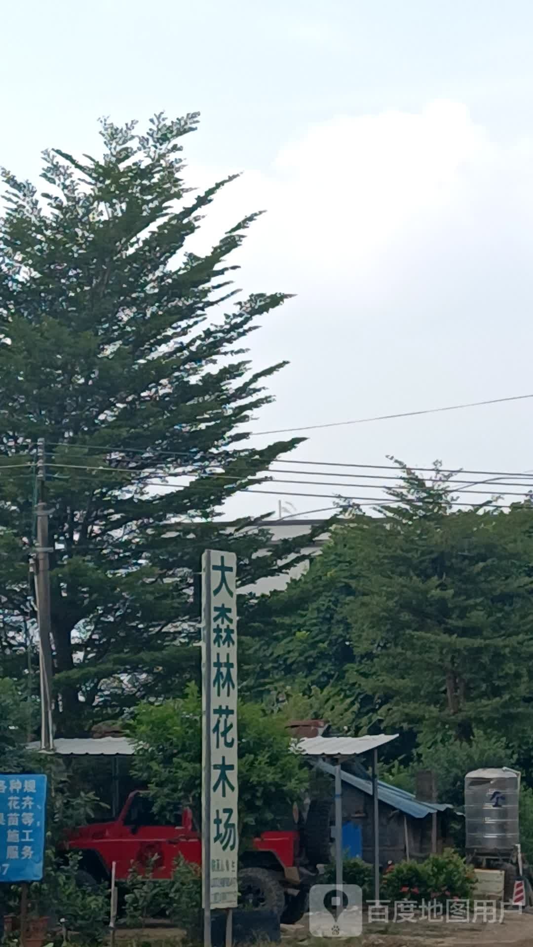 大森林花木场