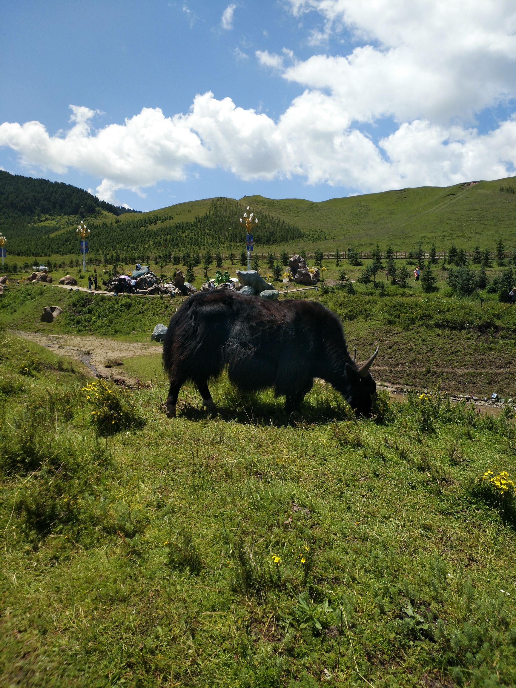 当周草原风景区