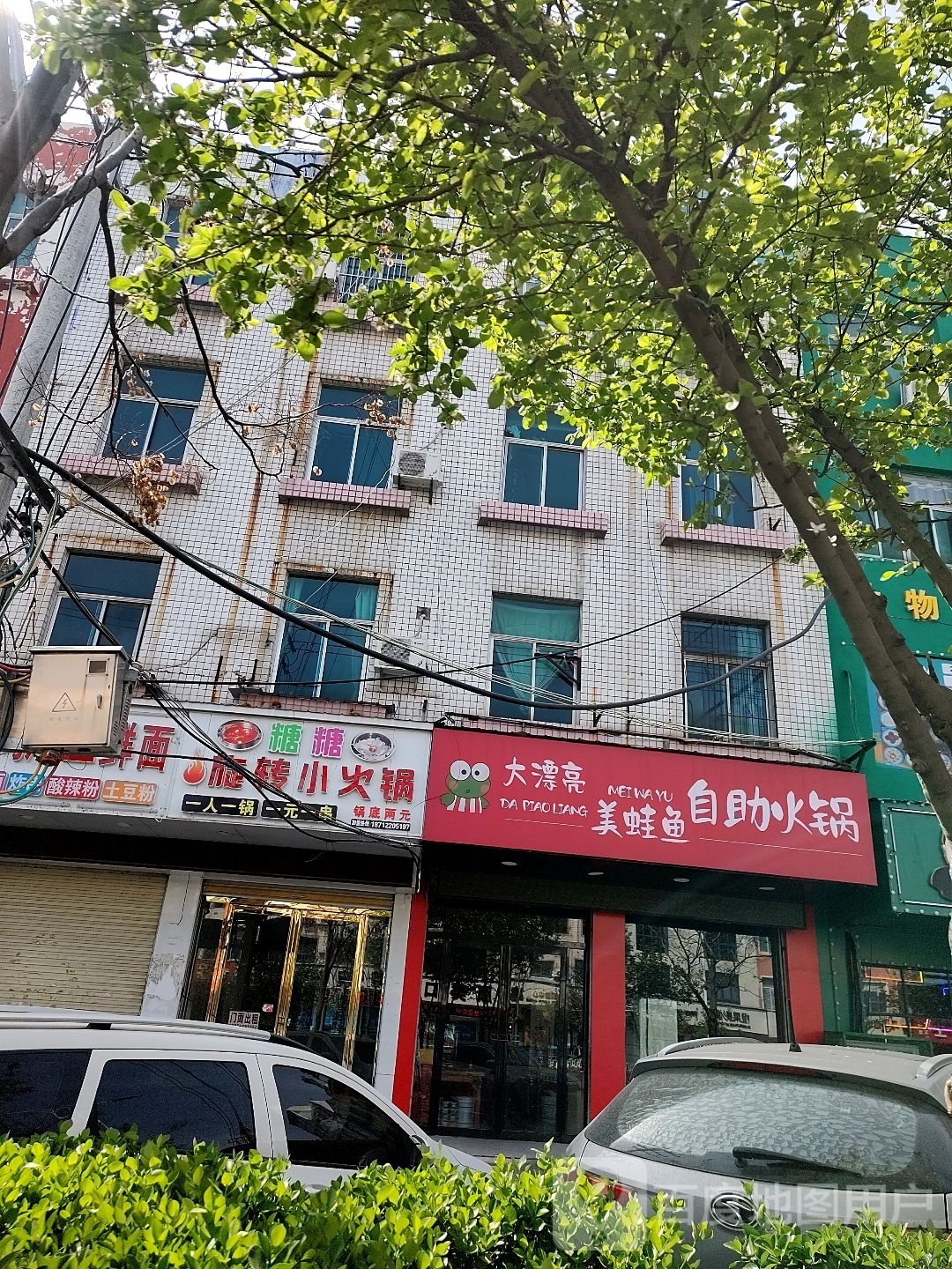 大漂亮美蛙鱼自助火锅