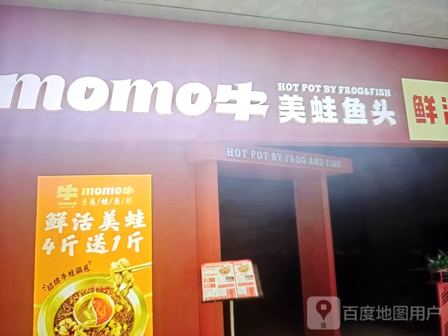momo牛蛙鱼鱼头