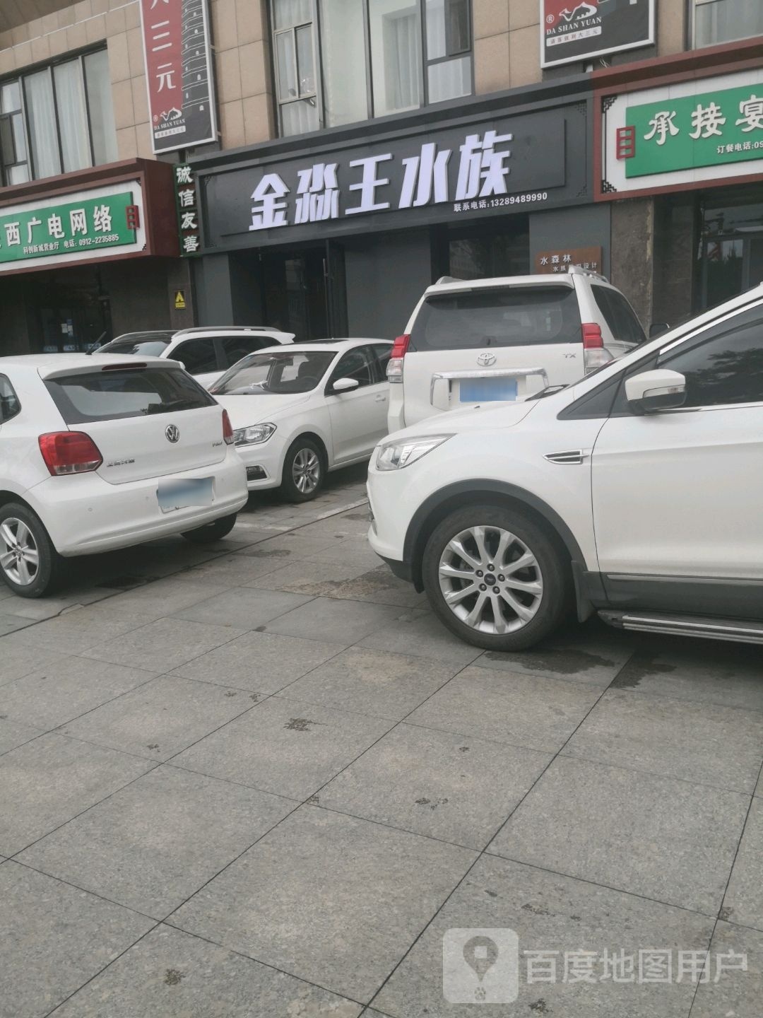 金淼王水族(元驰·世纪城店)