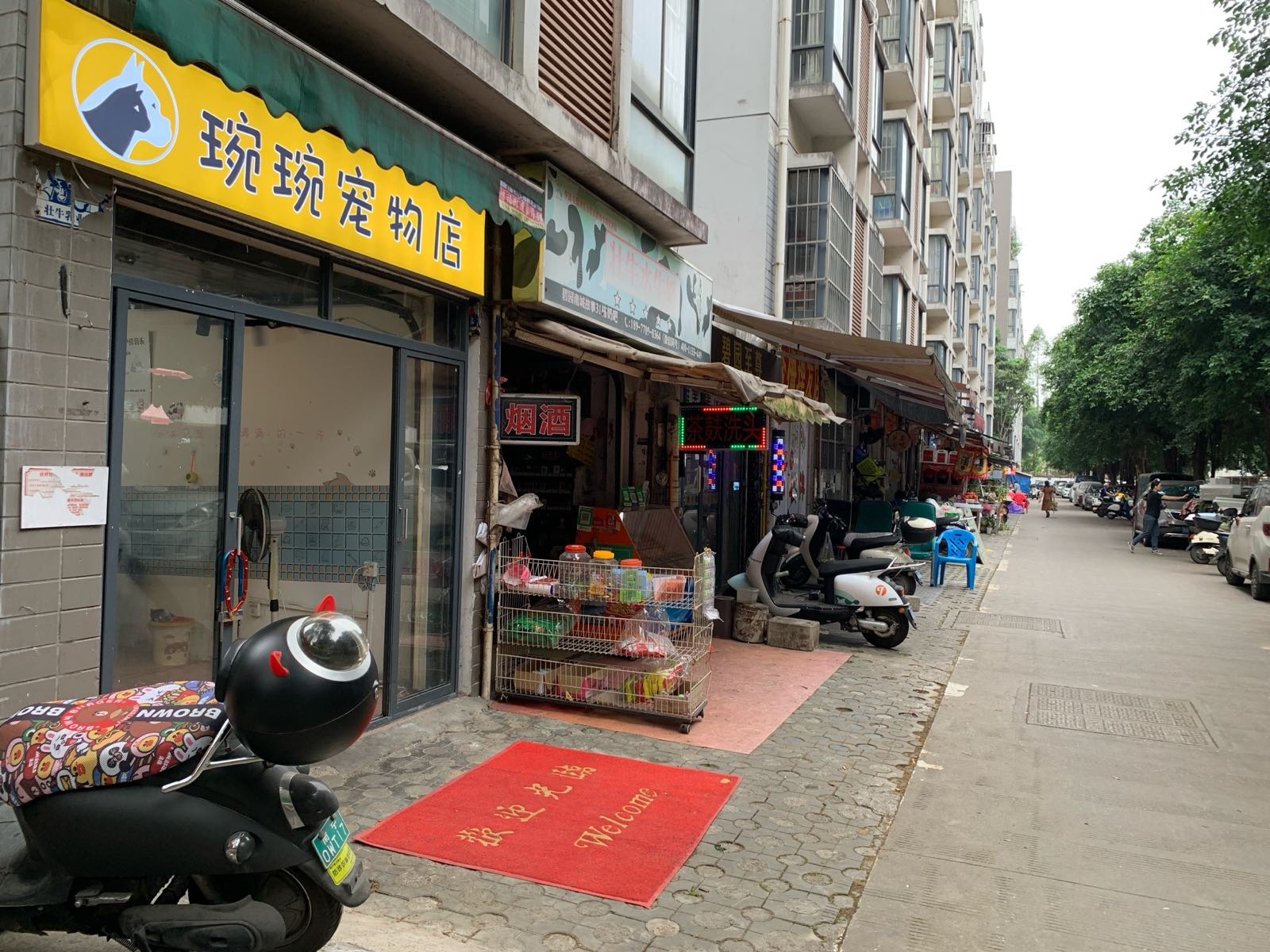 琬琬宠物店