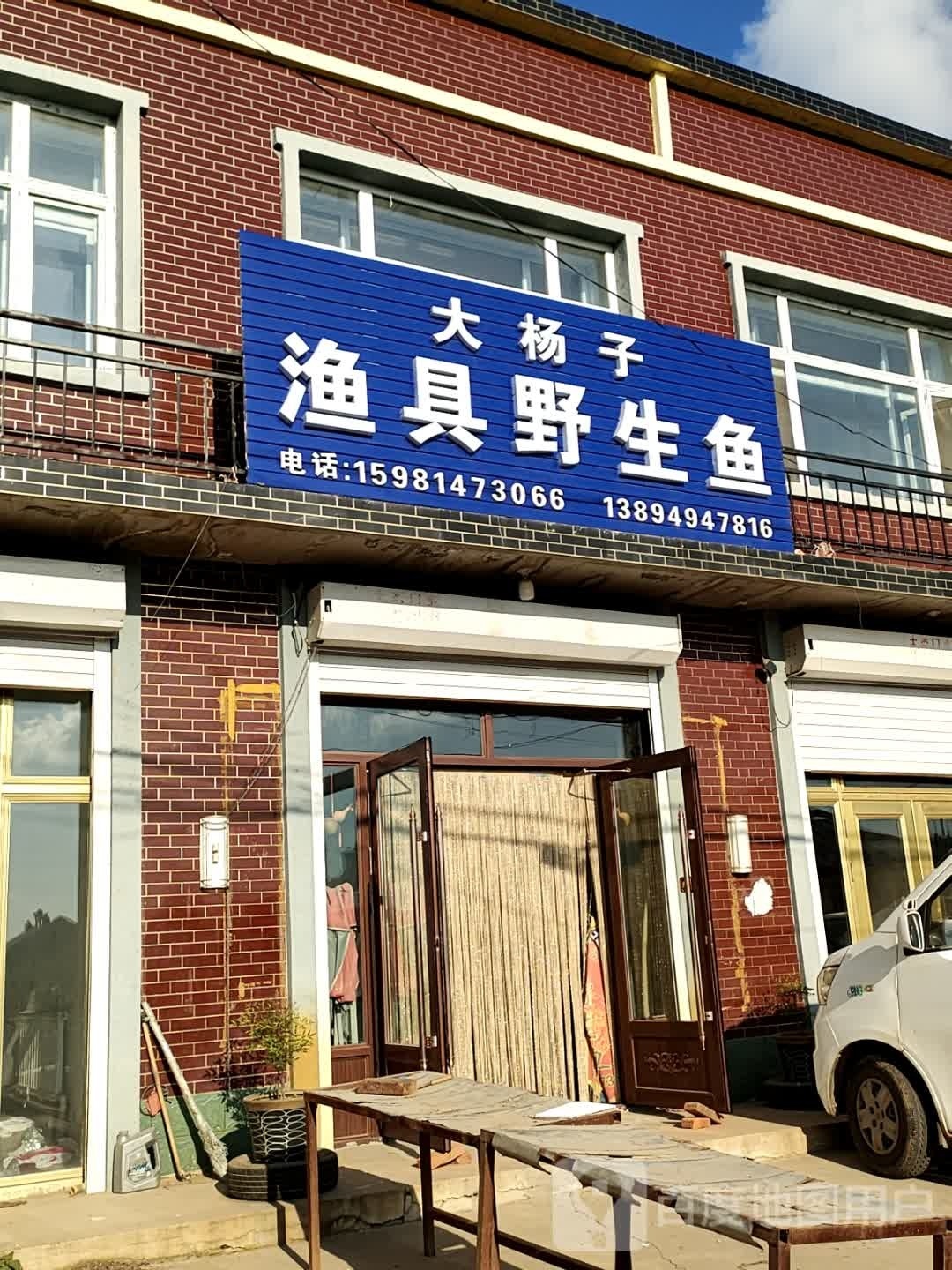 大杨子渔具野生鱼