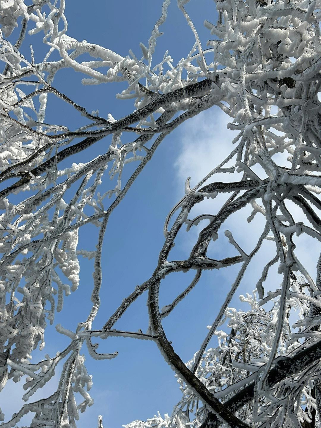 老山国家森林公园