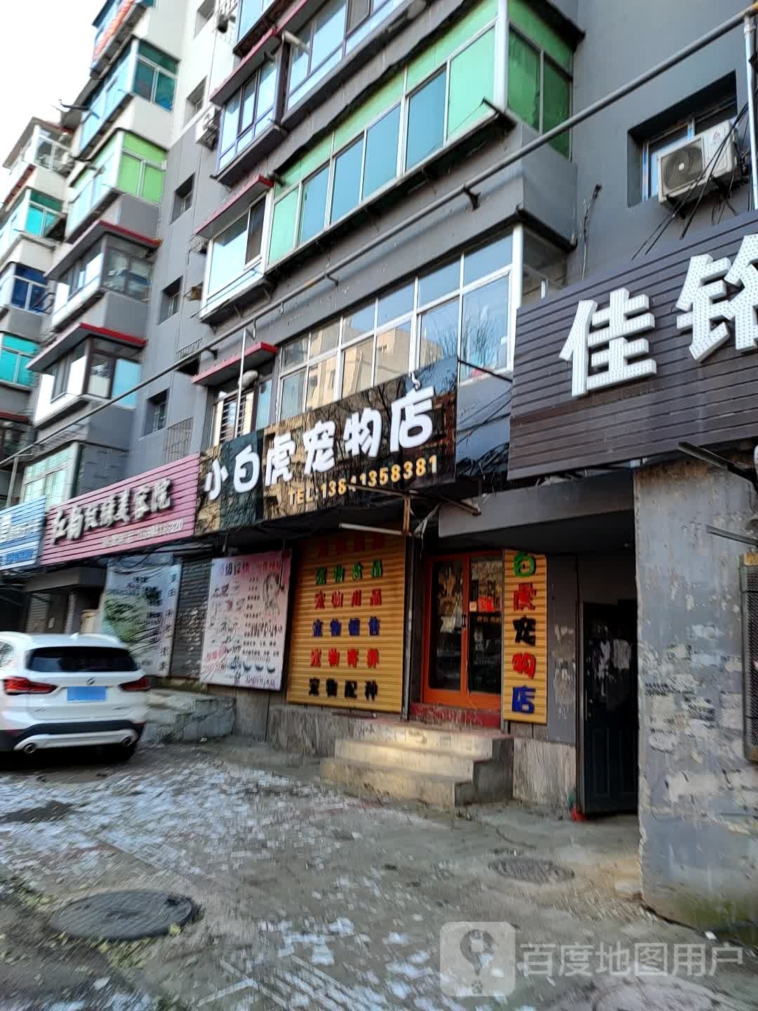 小白虎宠物店