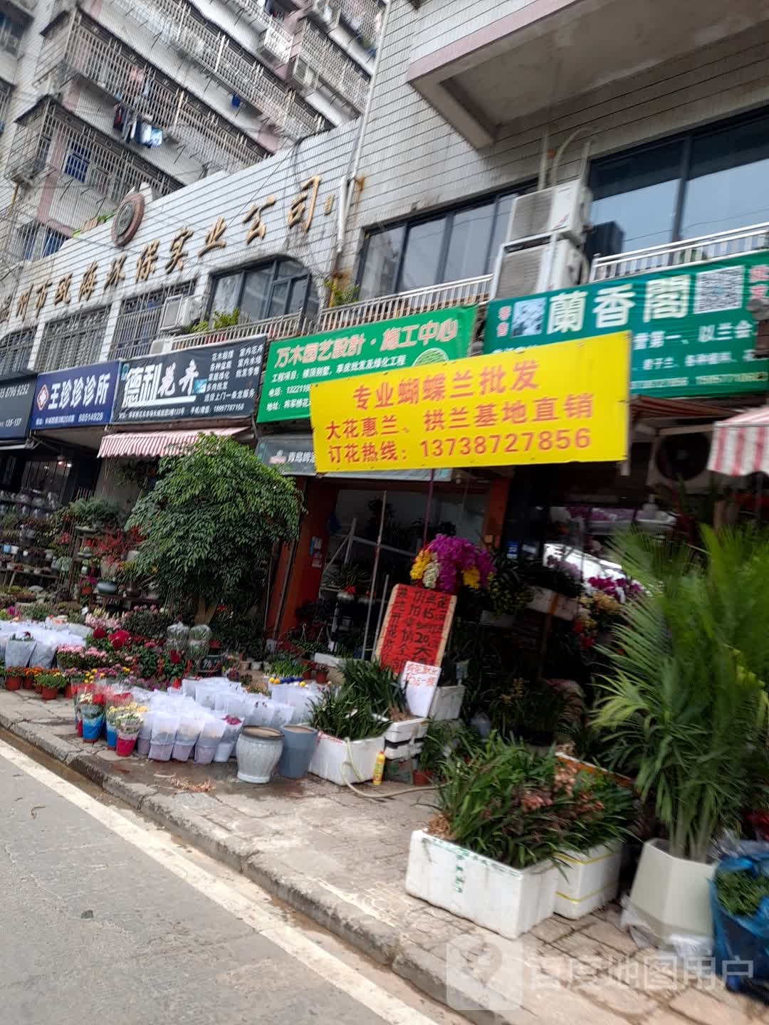德利花卉