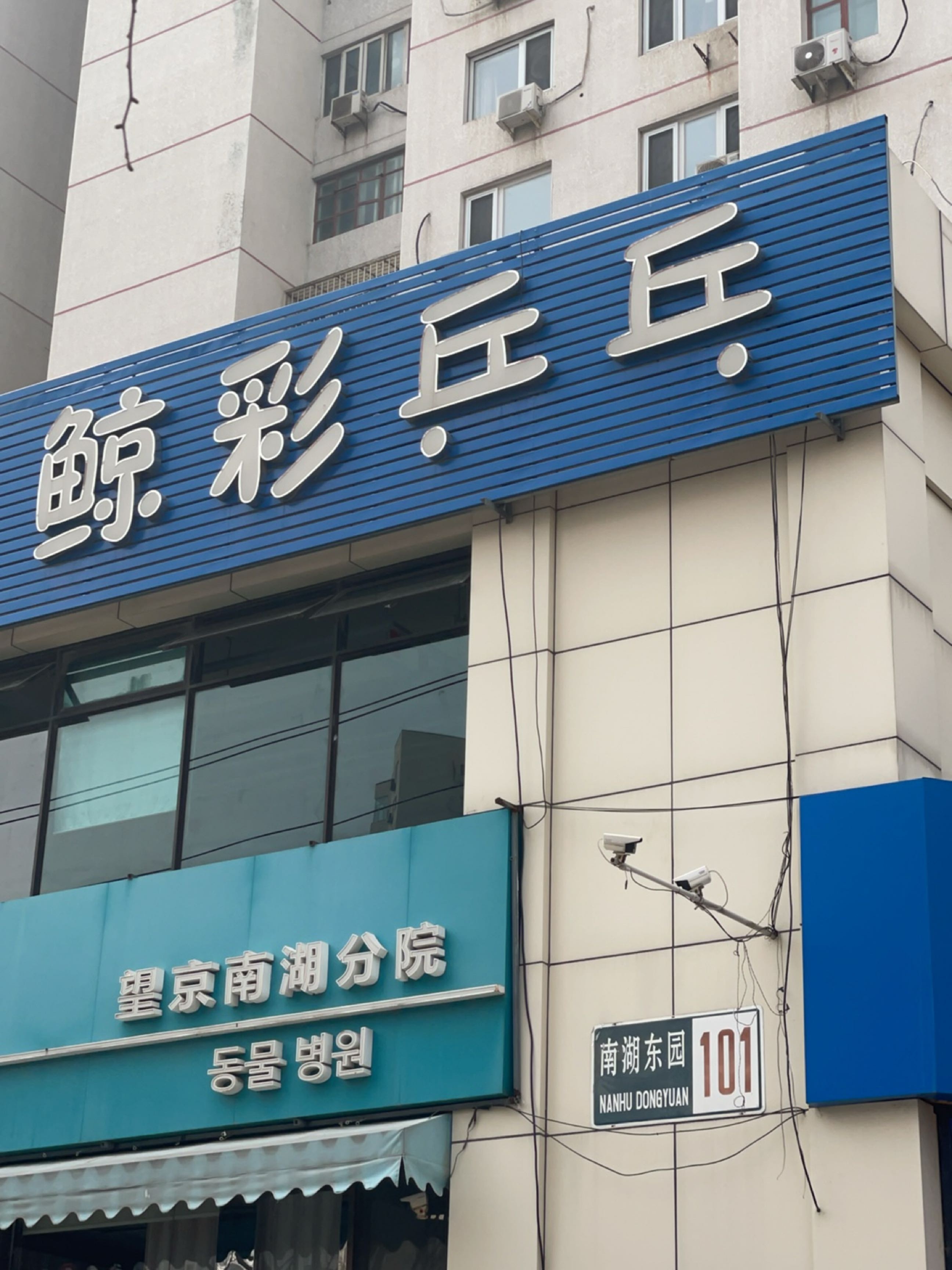 鲸彩乒乓
