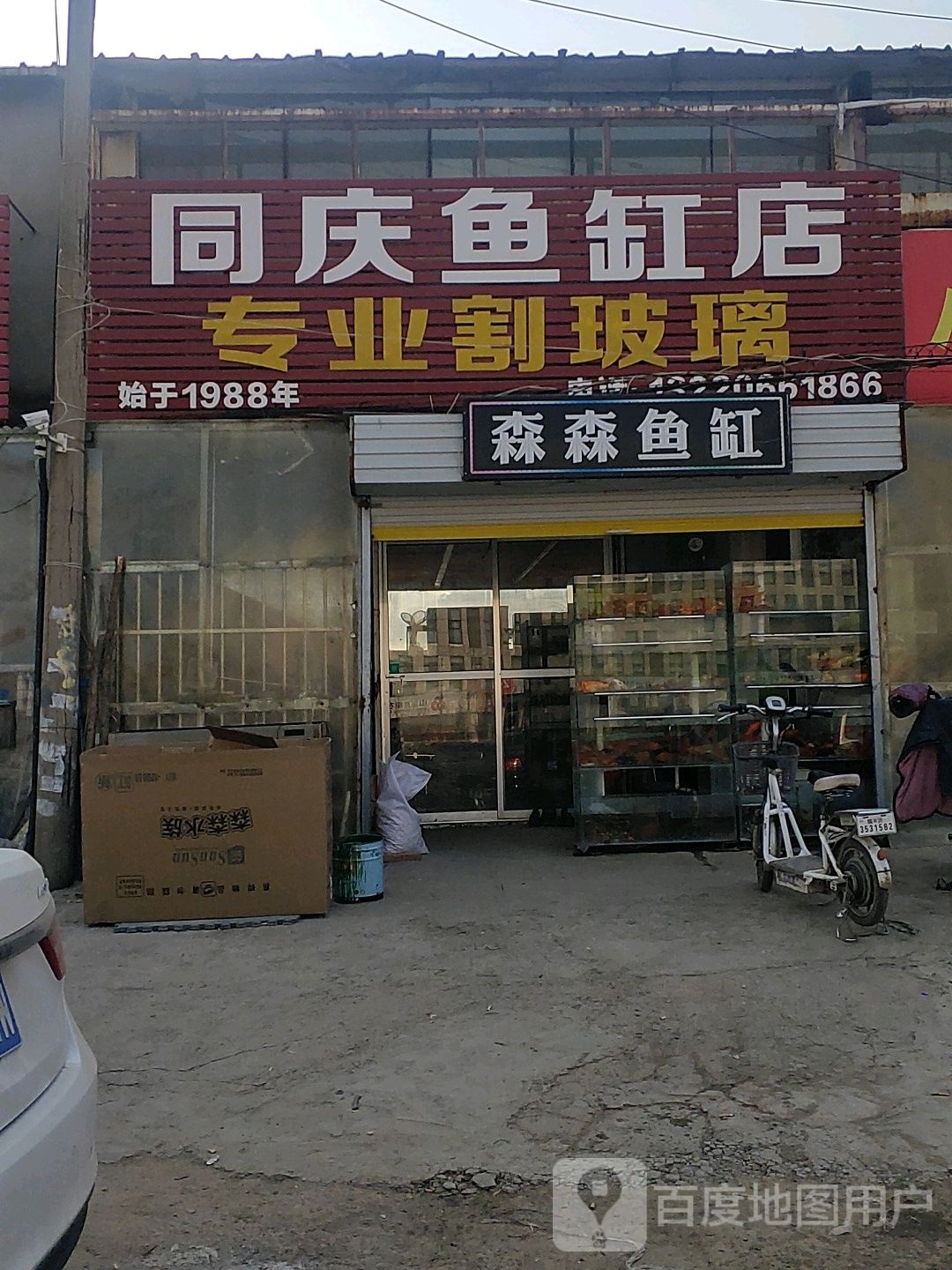 森森鱼(镇中路店)