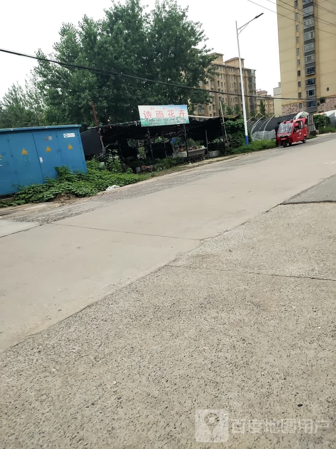 诗雨花卉