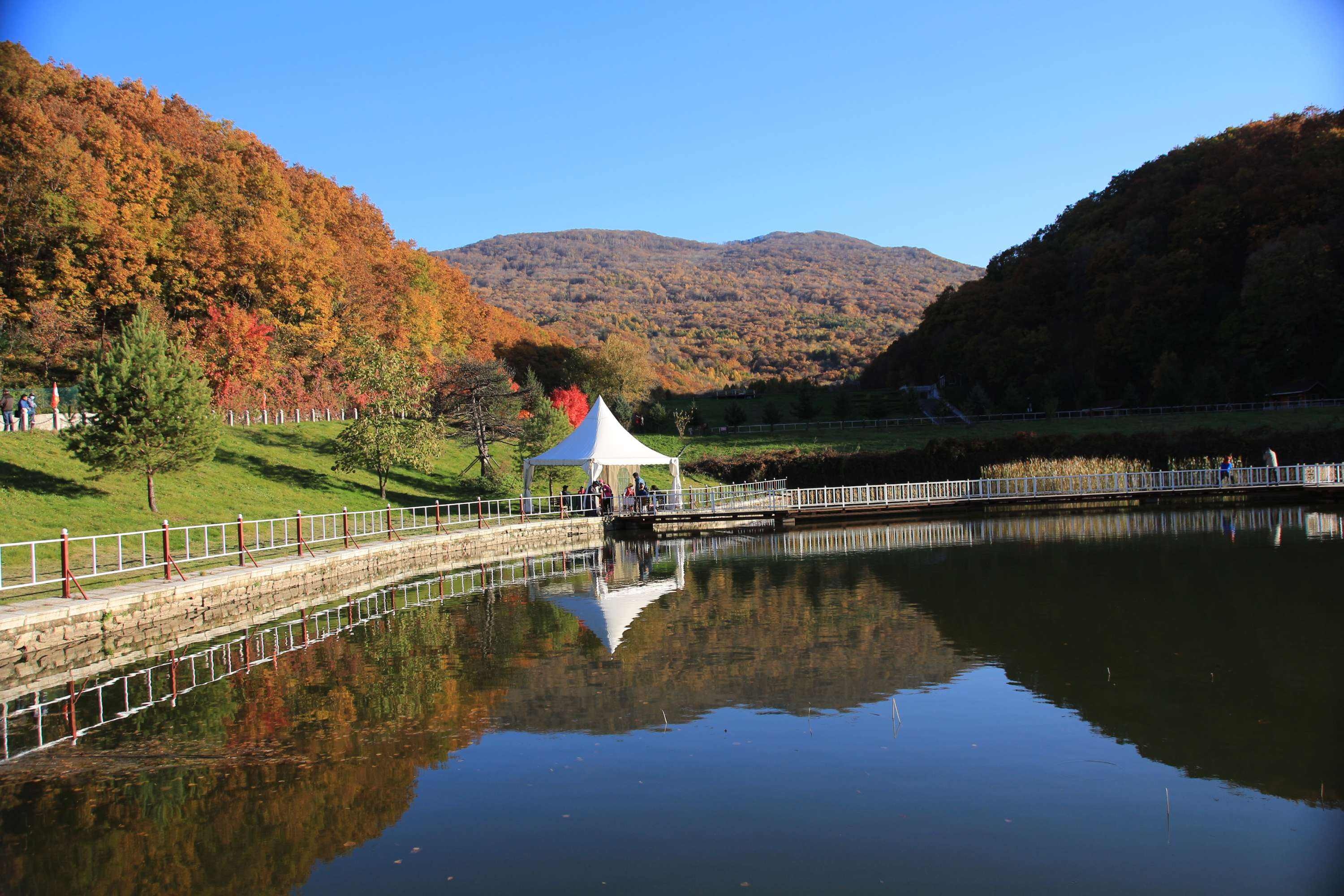 五家山森林公园