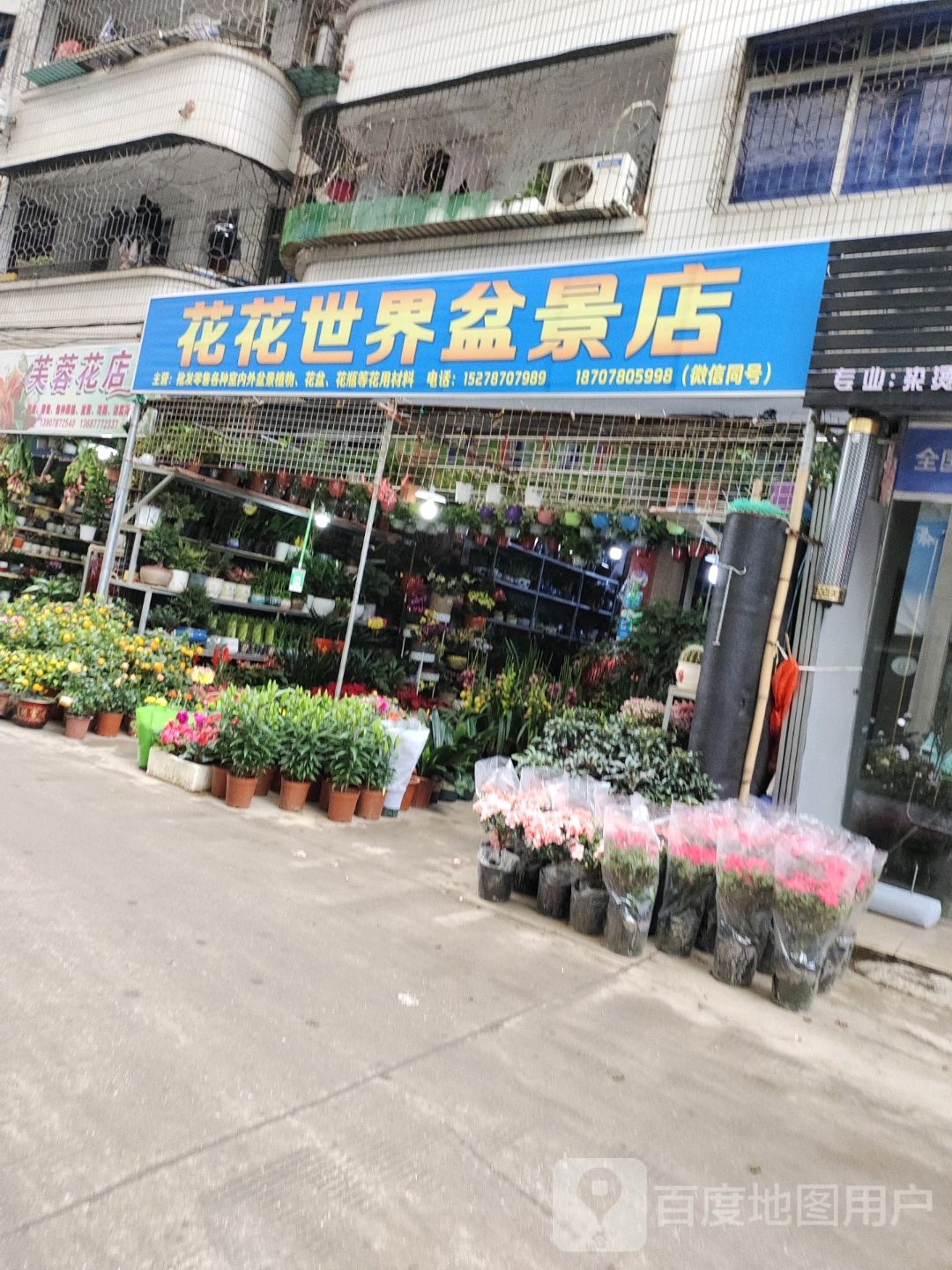 花花世界盆景店(白沙路店)