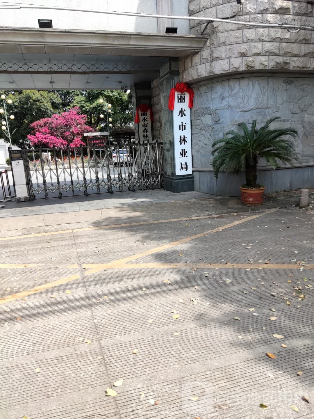 丽水市林业局