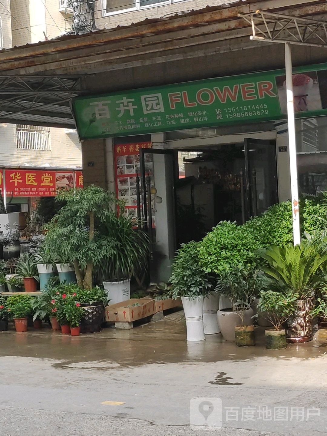 百卉园FLOWER