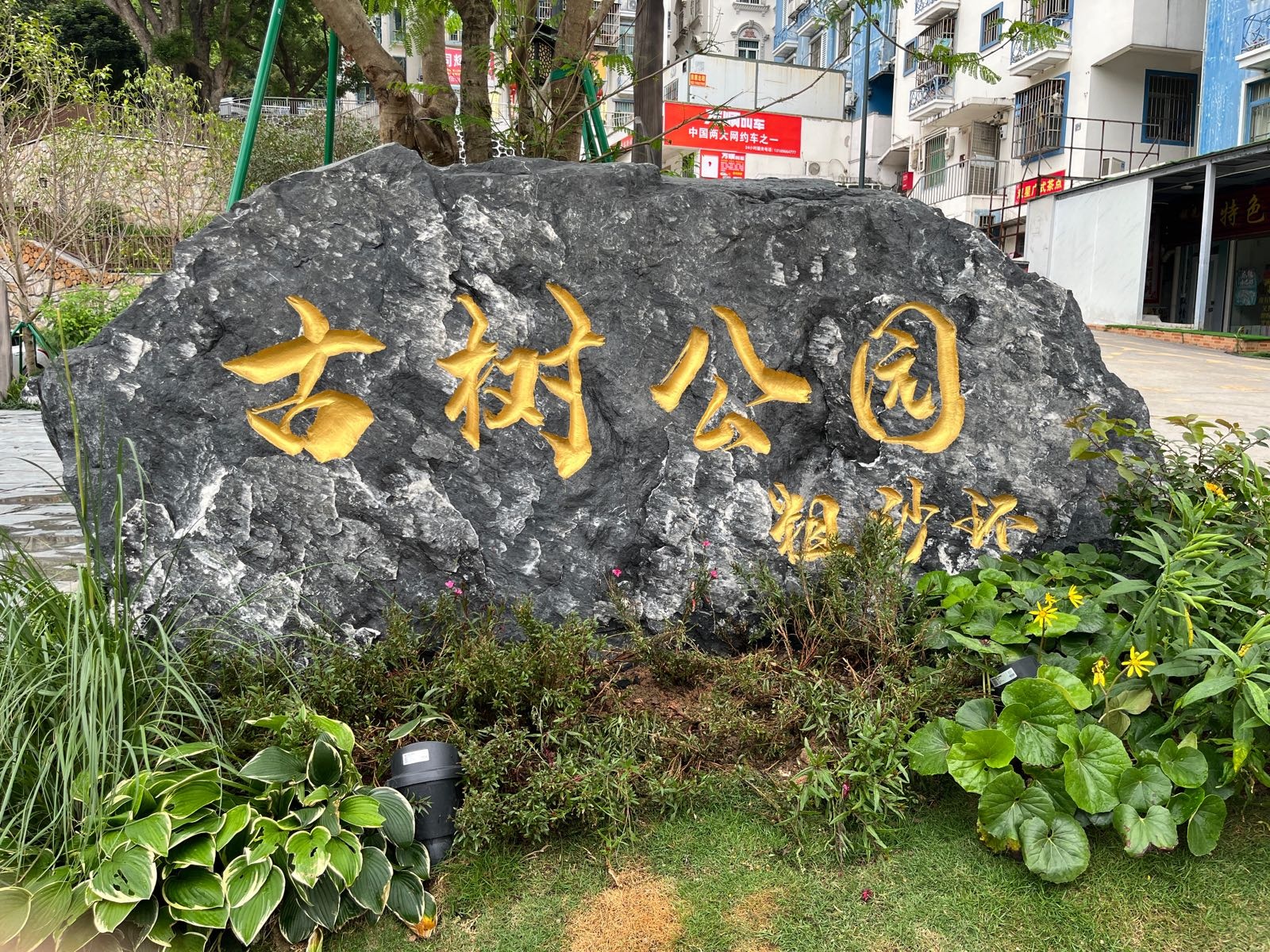 粗沙环古树公园