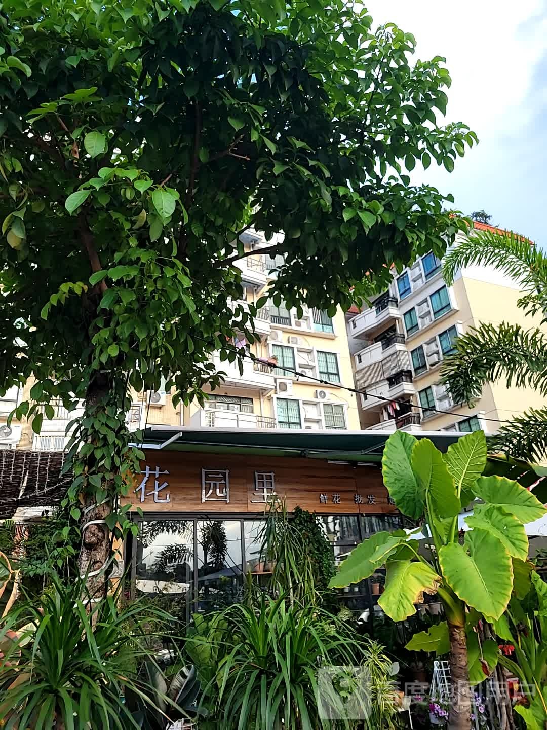 花园里花店