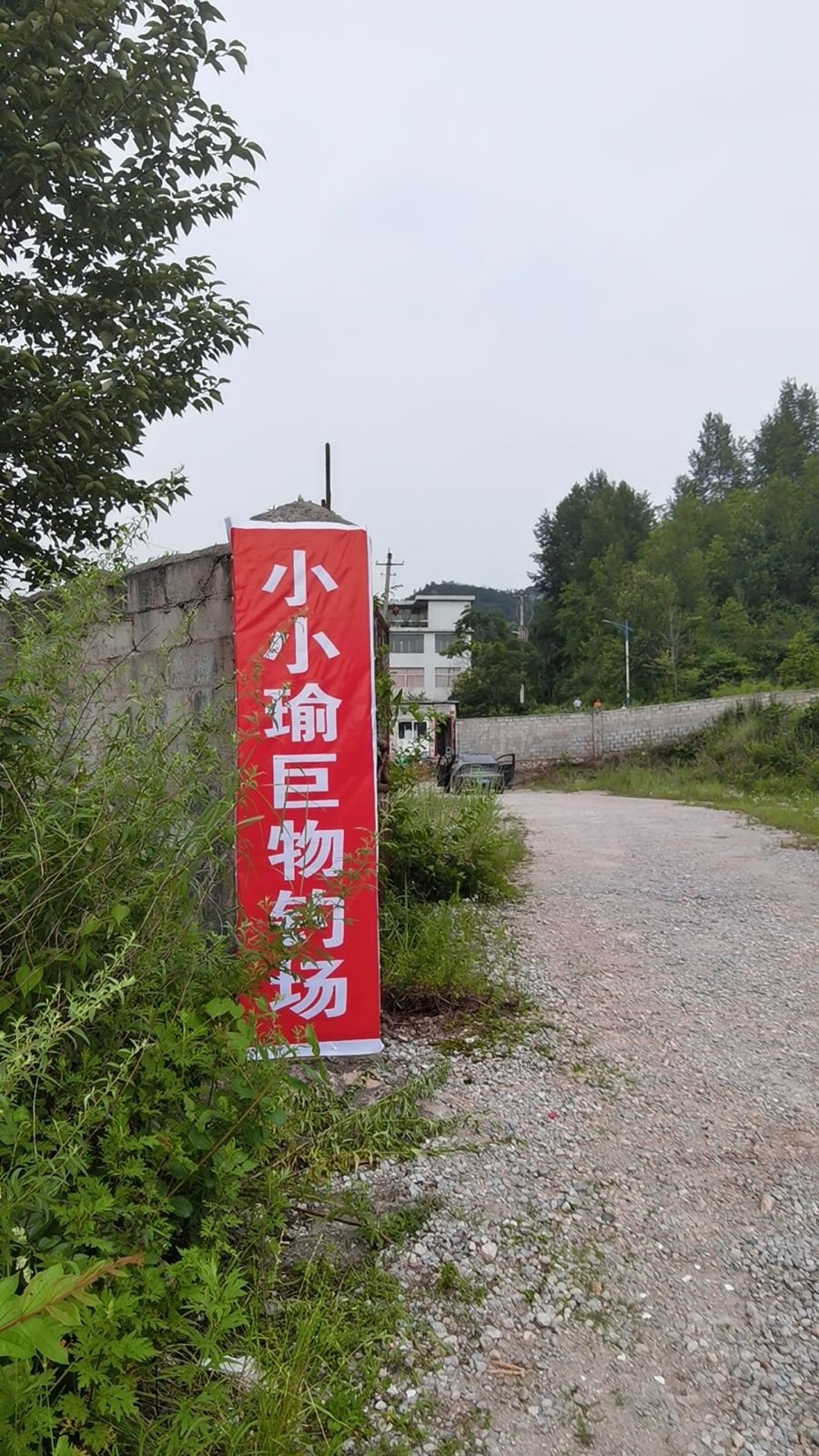 小小瑜巨物钓场