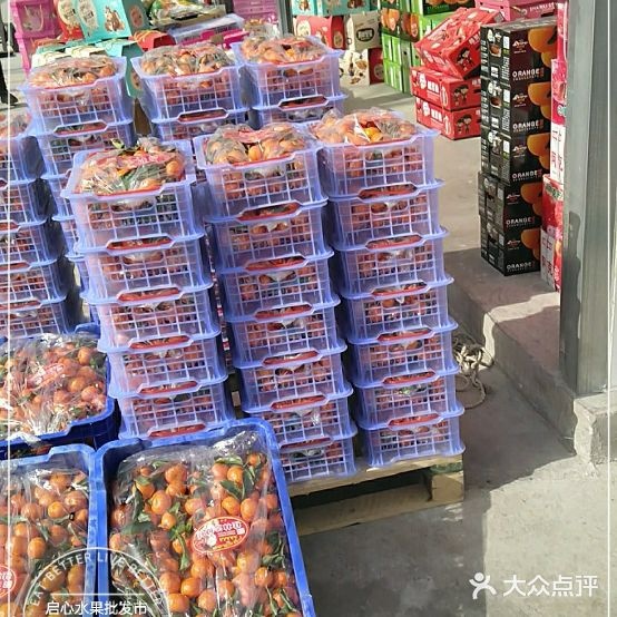 启心水果批发市场