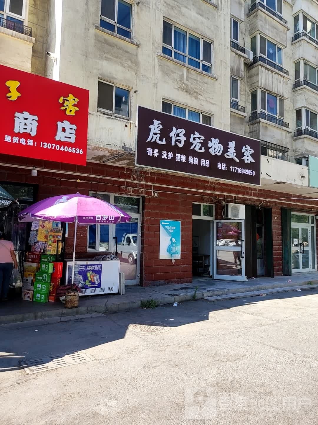 虎仔宠物店美容