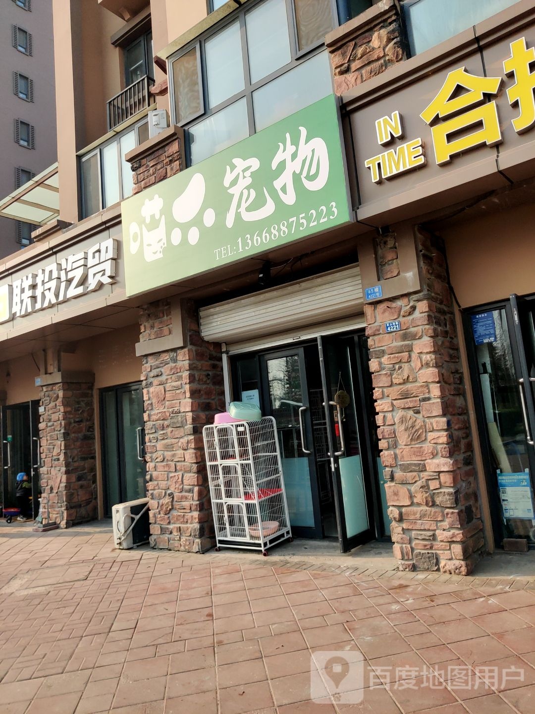 喵爪宠物