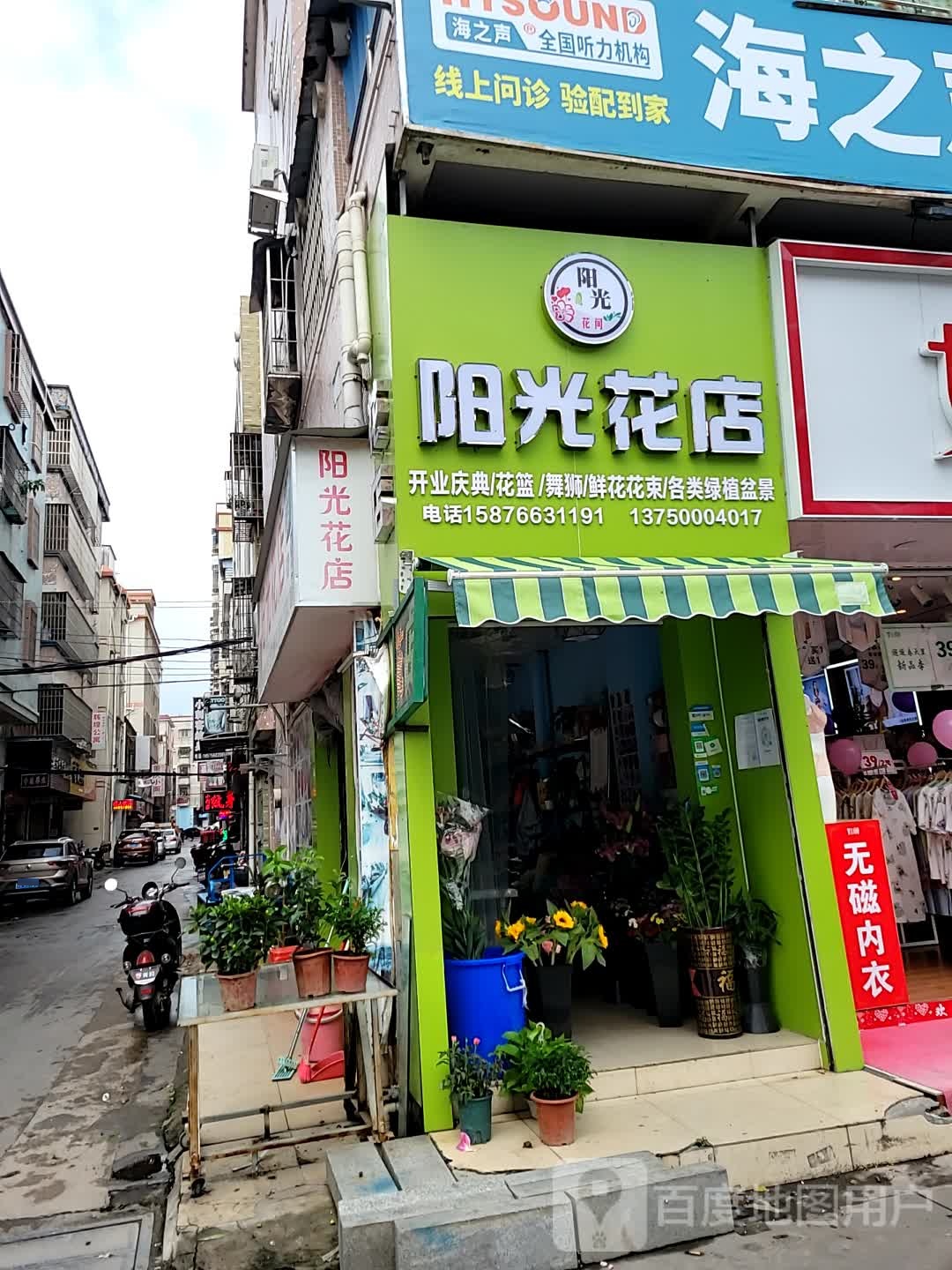 阳光花艺(西埔路店)