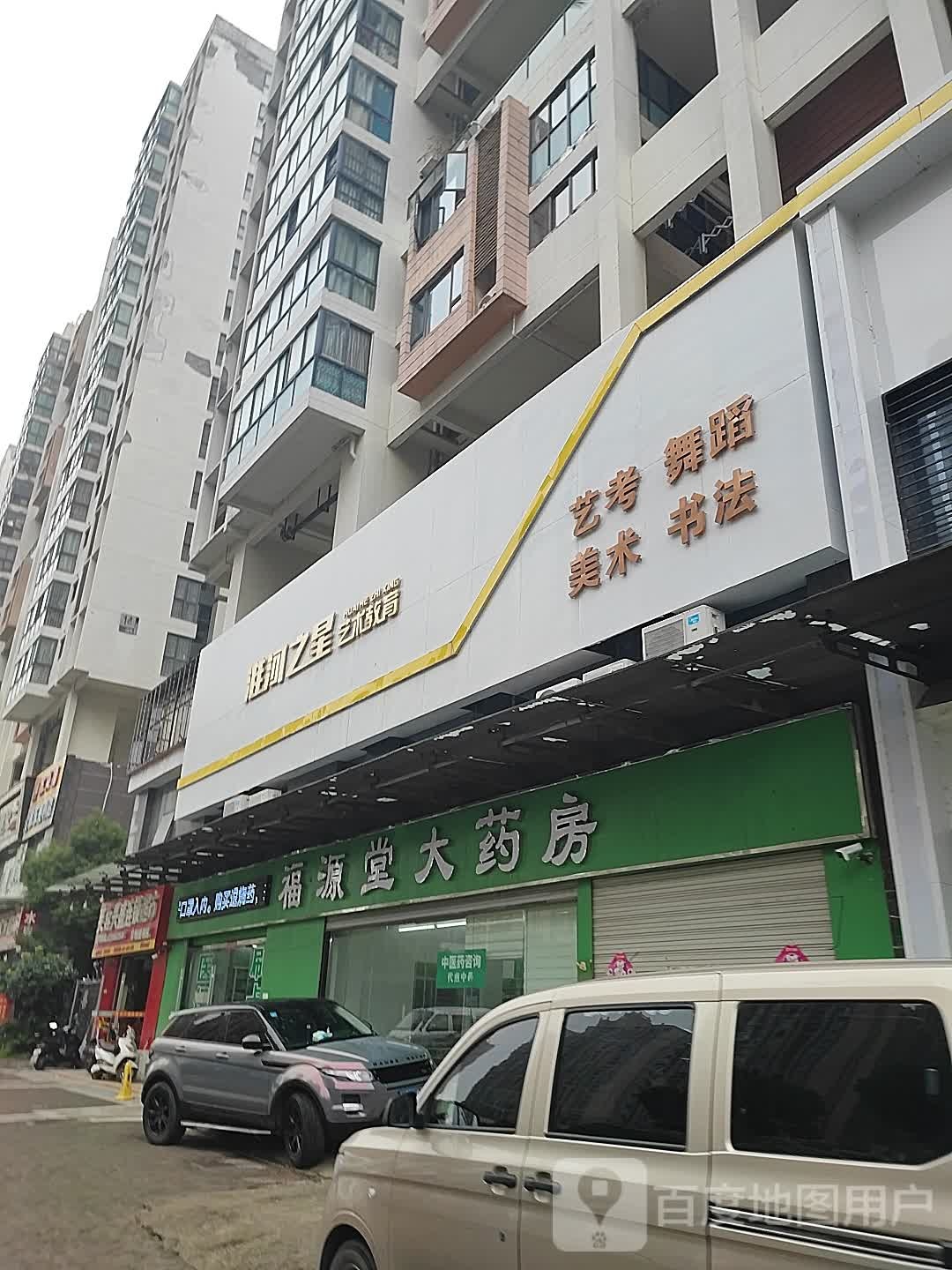 淮河之星艺术教育