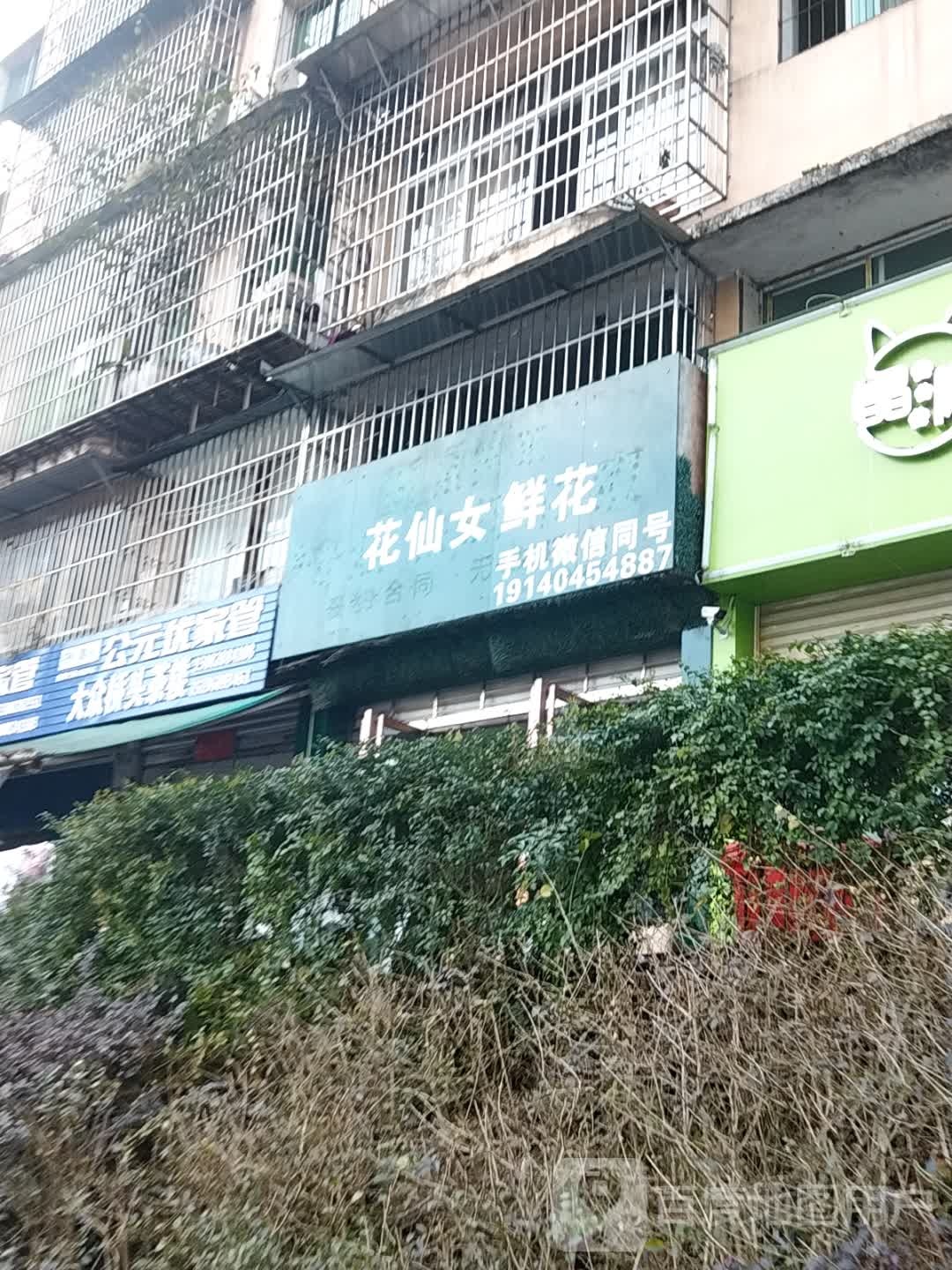 花仙女鲜花店(黄马湾路店)